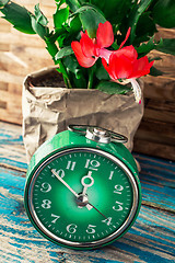 Image showing symbol of spring green clock and blossoming flower