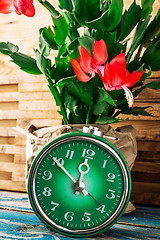 Image showing symbol of spring green clock and blossoming flower