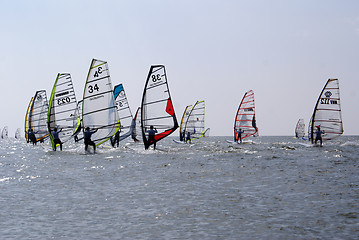 Image showing Windsurfing