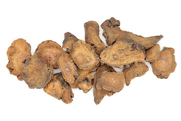 Image showing Chinese Rhubarb Root