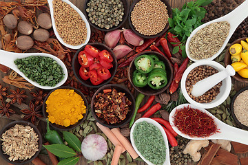 Image showing Herb and Spice Sampler