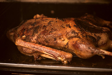 Image showing roasted goose 