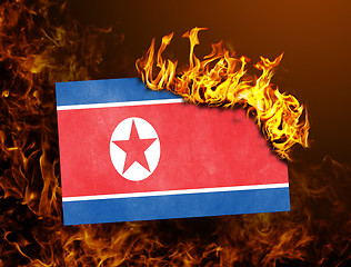 Image showing Flag burning - North Korea