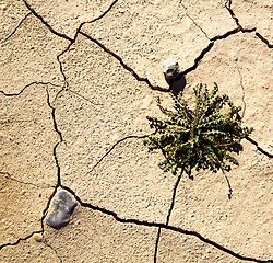 Image showing brown dry sand in sahara desert morocco africa erosion and abstr