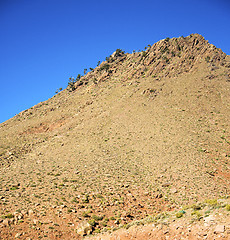 Image showing the    dades valley in atlas moroco africa ground tree  and nobo