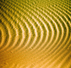 Image showing africa the brown sand dune in   sahara morocco desert line