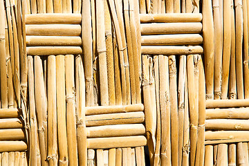 Image showing texture bamboo in morocco  