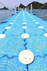 Image showing plastic  coastline of a  green lagoon   thailand kho phangan   b