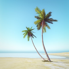 Image showing palm tree beach