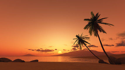 Image showing sunset palm tree