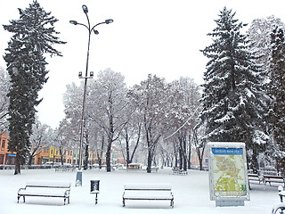 Image showing Snowing