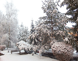 Image showing Snowing