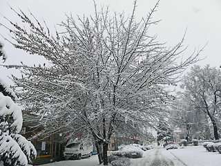 Image showing Snowing