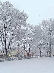 Image showing Snowing
