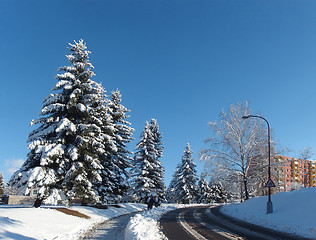 Image showing Apartment building in winter