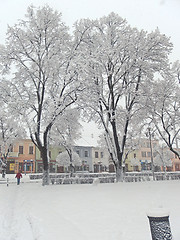 Image showing Snowing