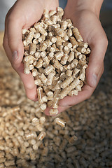Image showing Wood Pellets