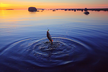 Image showing Sunset river perch fishing with  a rod