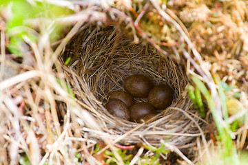 Image showing Cozy nest