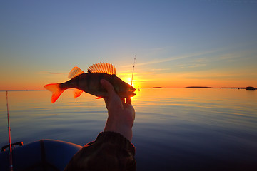 Image showing Sunset river perch fishing with the boat and a rod