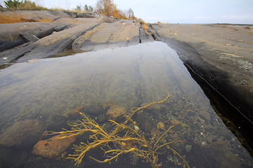 Image showing Rocky bath in  sea after low tide