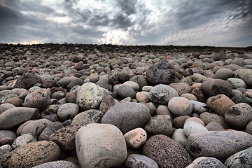 Image showing boulders beach on shore of Barents sea
