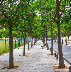 Image showing walking alley with bench in a small town