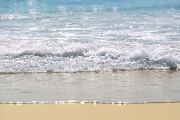 Image showing Ocean shore