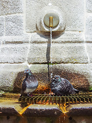 Image showing Two pigeons on water fountain