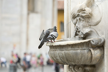 Image showing Two pigeons standing on water fountain