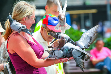 Image showing Woman holding pigeons in hands