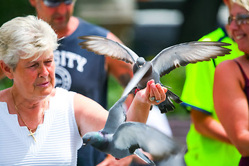 Image showing Woman holding pigeon