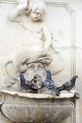 Image showing Three pigeons on water fountain