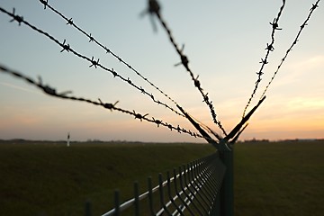 Image showing Barbed Wire