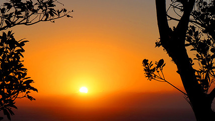 Image showing Sunset with silhouetted			