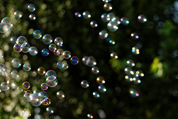 Image showing Soap bubbles