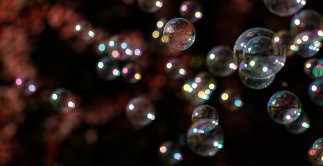 Image showing Soap bubbles