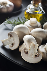 Image showing Mushrooms