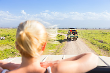 Image showing Woman on african wildlife safari.