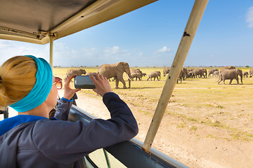 Image showing Woman on african wildlife safari.