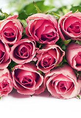 Image showing roses