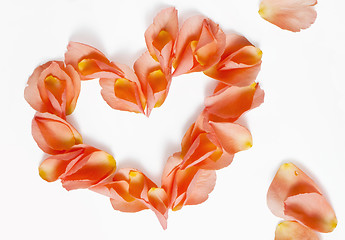 Image showing rose petals (heart shape)