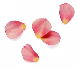 Image showing rose petals