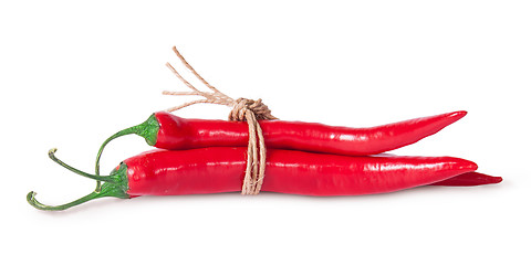 Image showing Red chili peppers tied with a rope