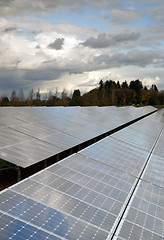 Image showing Clean Green Energy Farm Solar Power Panels 