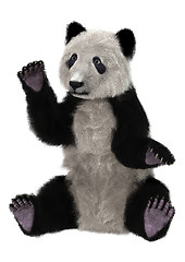 Image showing Panda Bear