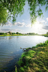 Image showing Grass near river