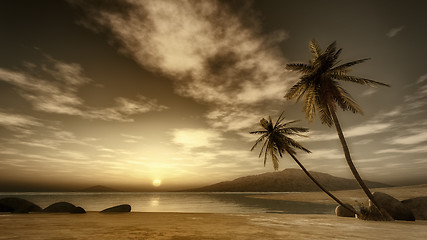 Image showing sunset palm tree