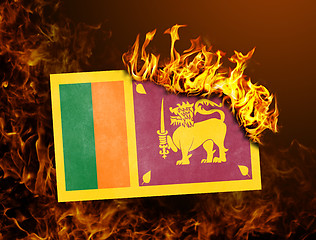 Image showing Flag burning - Sri Lanka