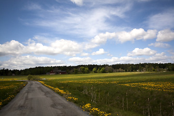 Image showing country road